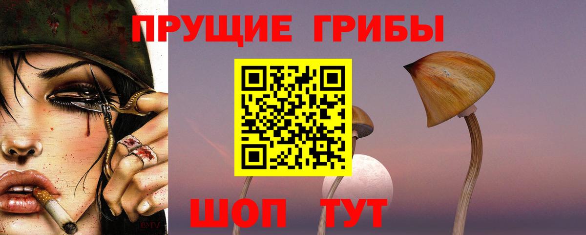 Псилоцибиновые грибы Psilocybe Рассказово