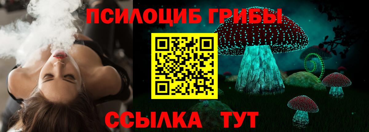 Рассказово  Галлюциногенные грибы GOLDEN TEACHER  Вход с VPN 